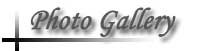 Photo Gallery